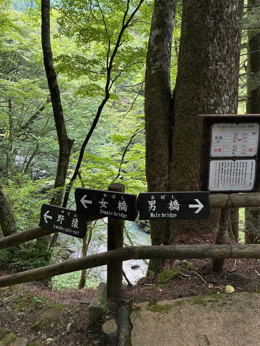 丸石 往復コースの写真