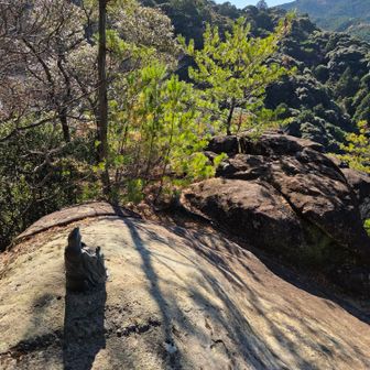どうにか無事に登れました～‼️