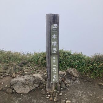 うん🙂‍↕️