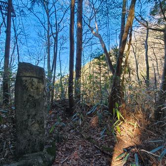 ここでまた「蛇」を見るとは何かの縁か