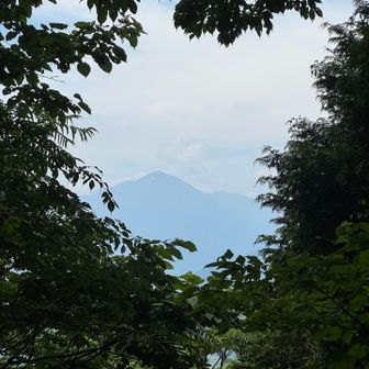 石老山から見える蛭ヶ岳。さらに奥に富士山が見えるらしいです