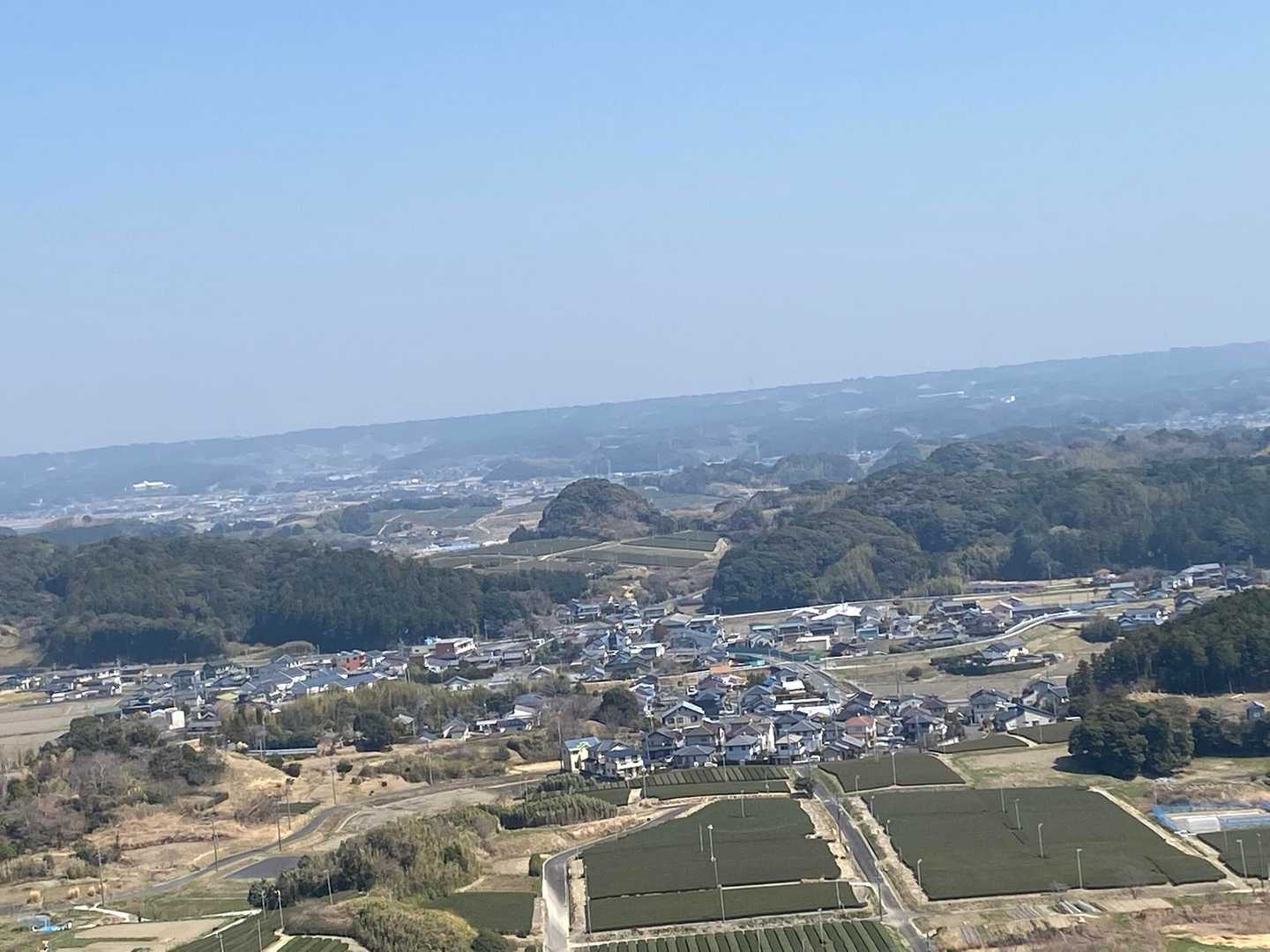 丸っこい可愛らしい形‪‪𓂂𓏸