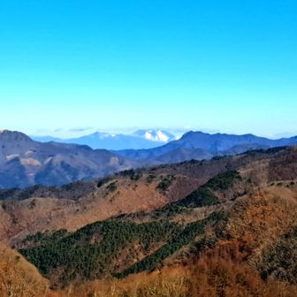枡形山より
なんと浅間山を遠望できました👀