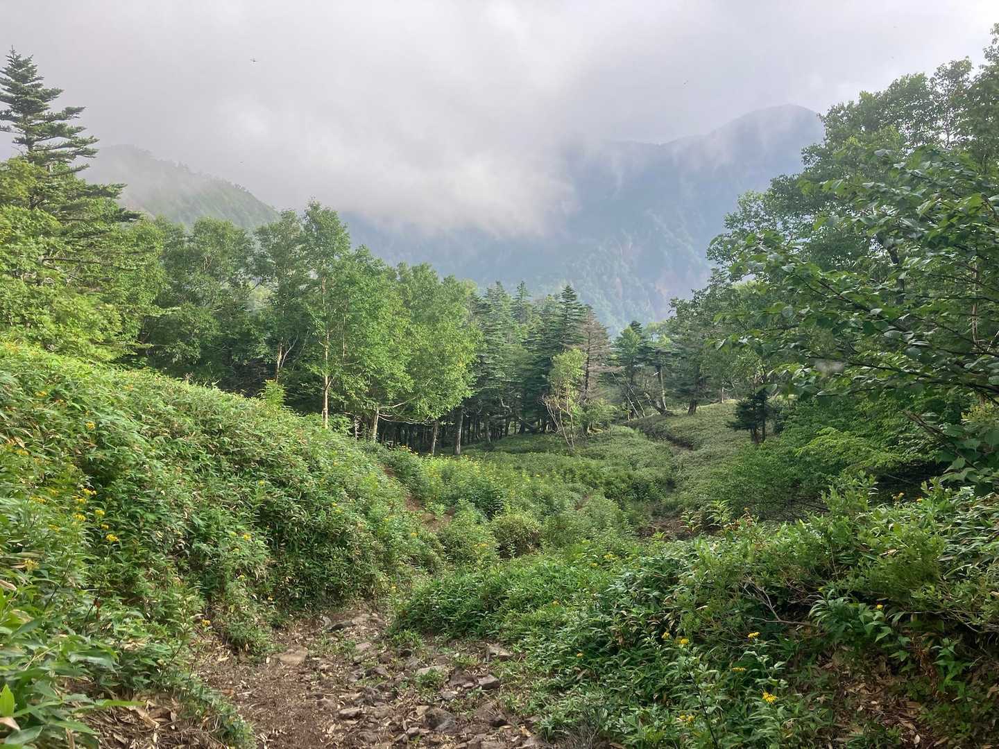 金精峠登山口-金精山-五色山-前白根山-日光白根山 周回コースの写真