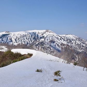前山から能郷白山を振り返る