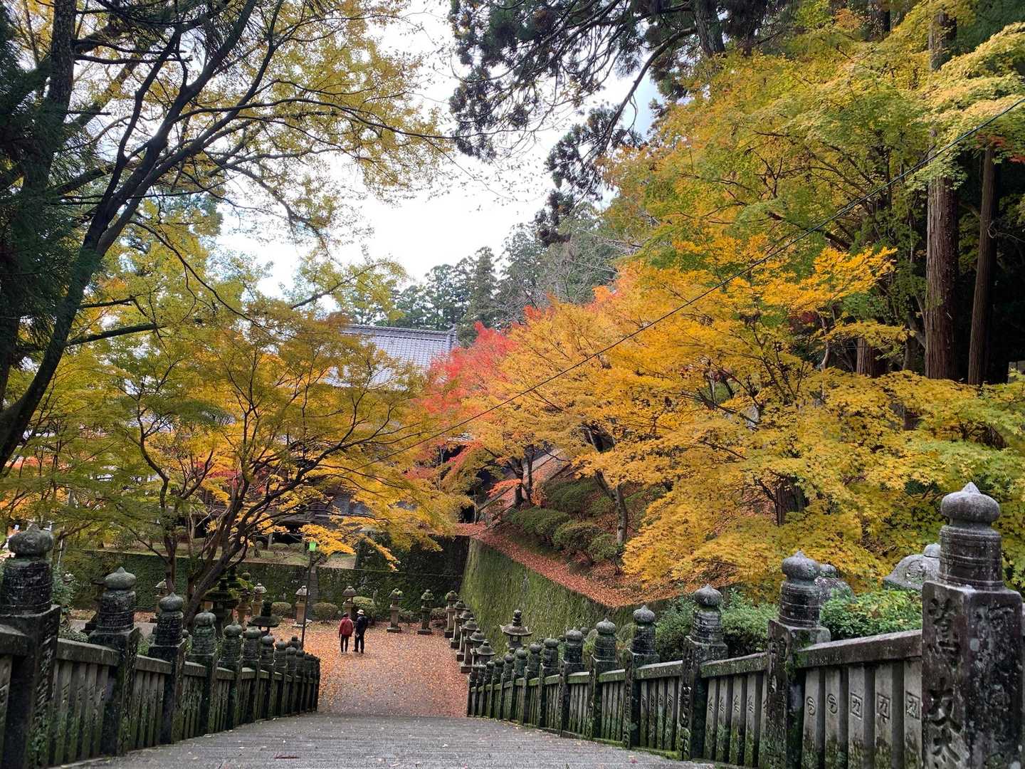 帰りも紅葉🍁の中を下ります