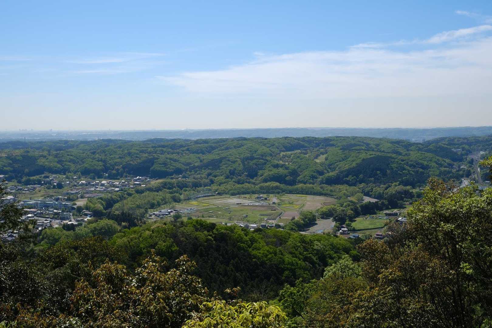 巾着田を見下ろします