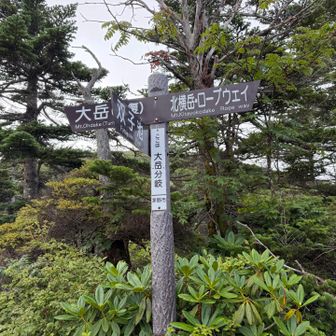 北横岳に続く道と別れて大岳を往復します