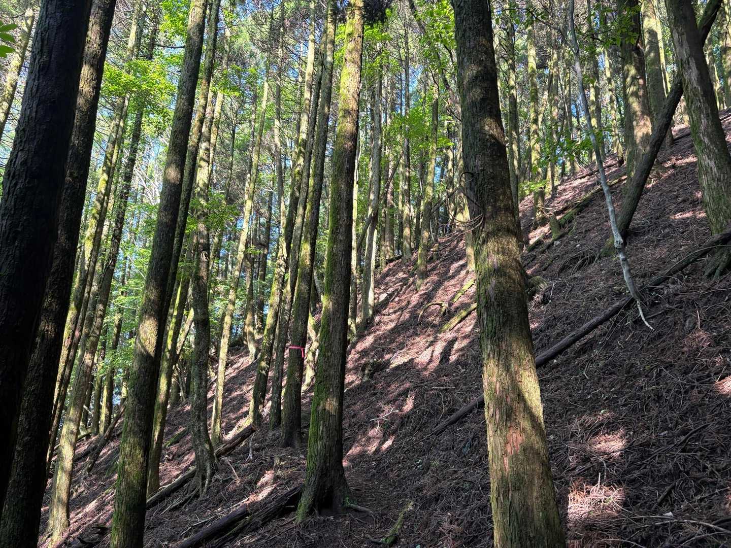 まずは本谷山へしゅっぱ〜つ！