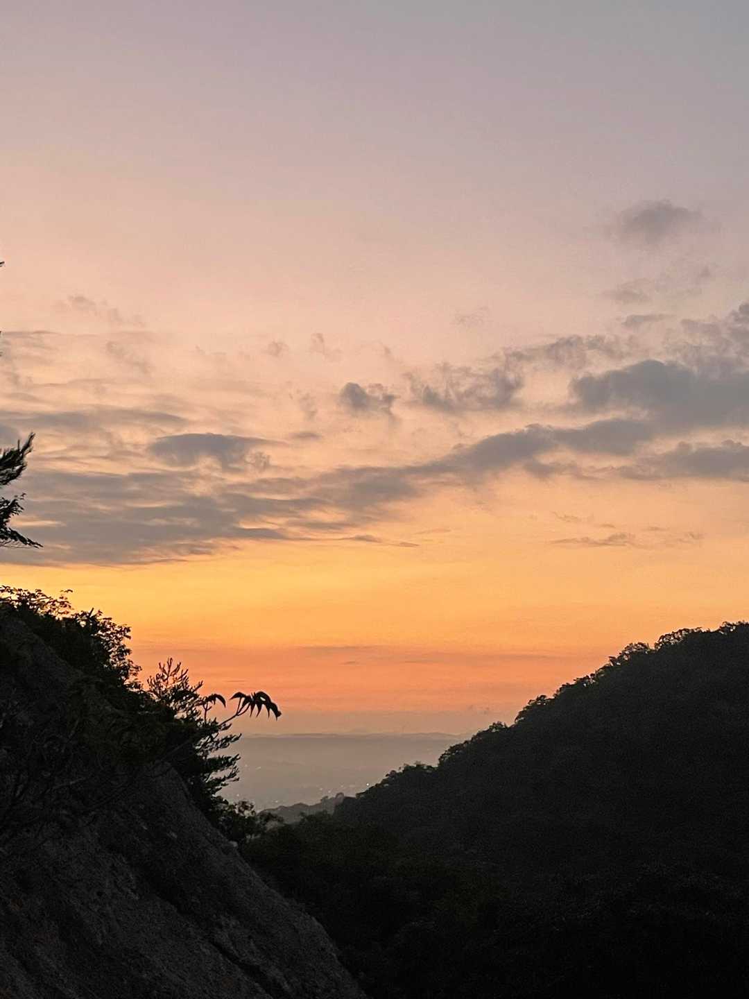 紅山 往復コースの写真