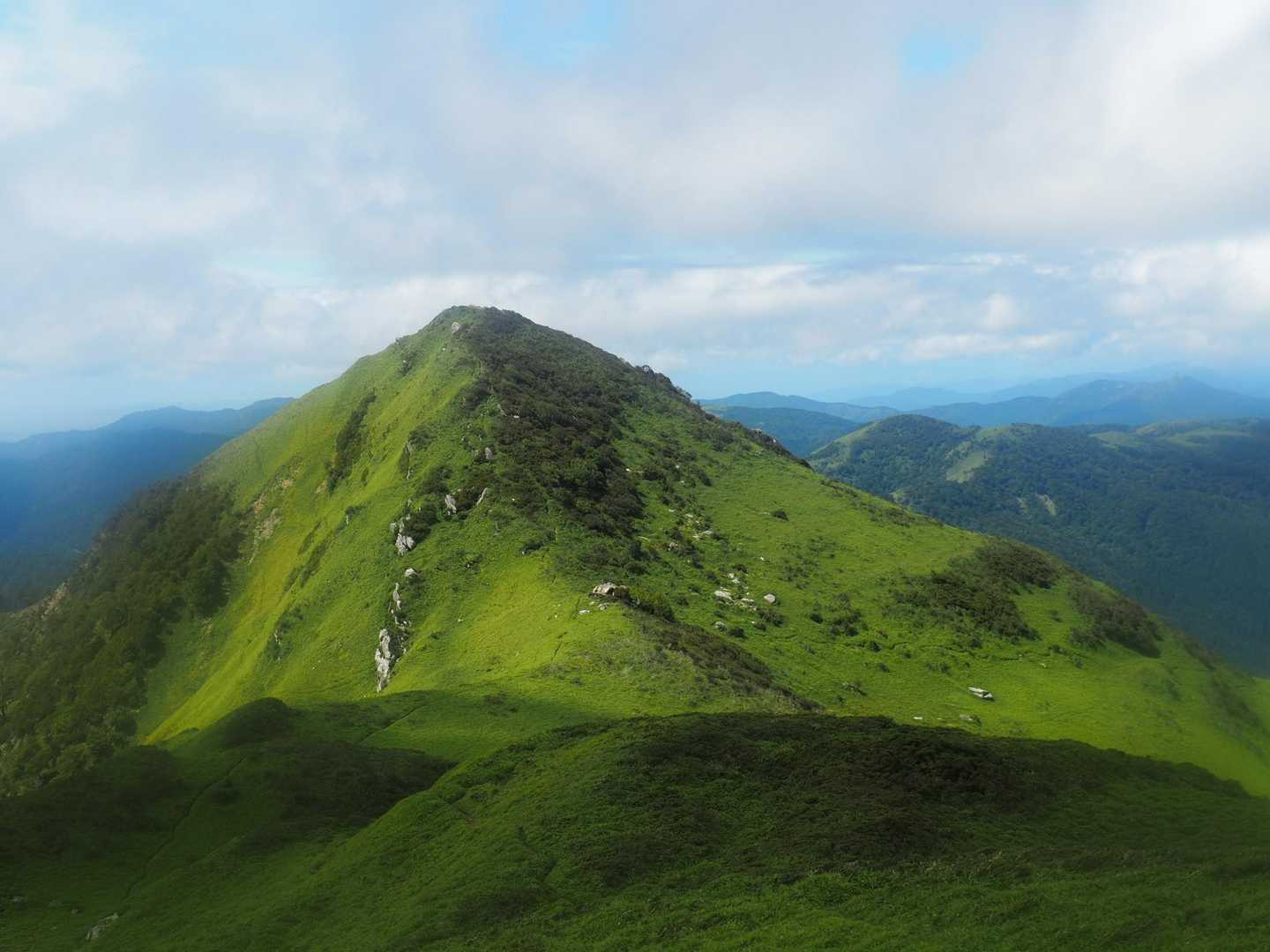 天狗塚登山口-第1ピーク-天狗塚-牛の背 往復コースの写真