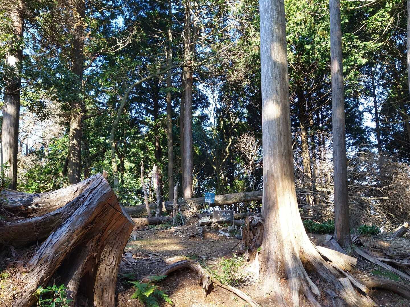 小塩山の写真