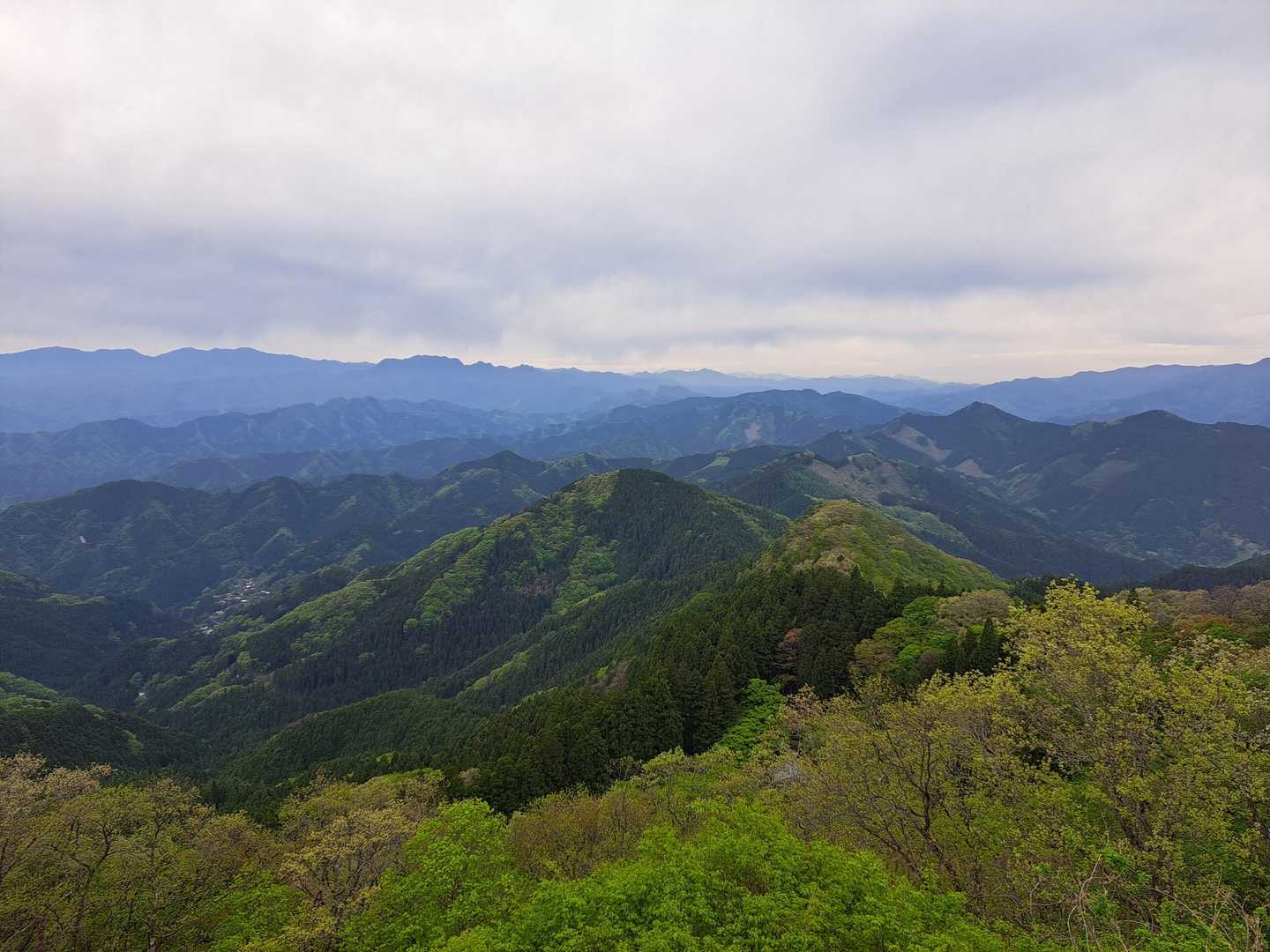 絶景🤩