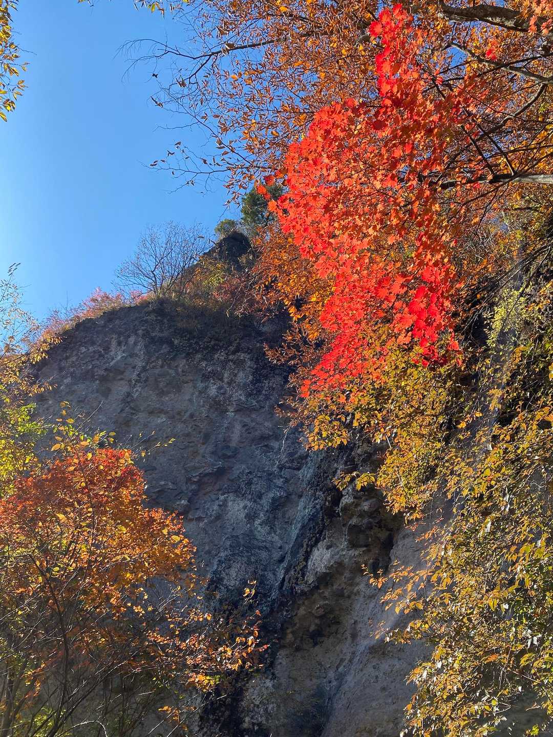 こちらも岩と紅葉