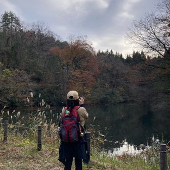 途中、池ところでカモの写真を撮影📷