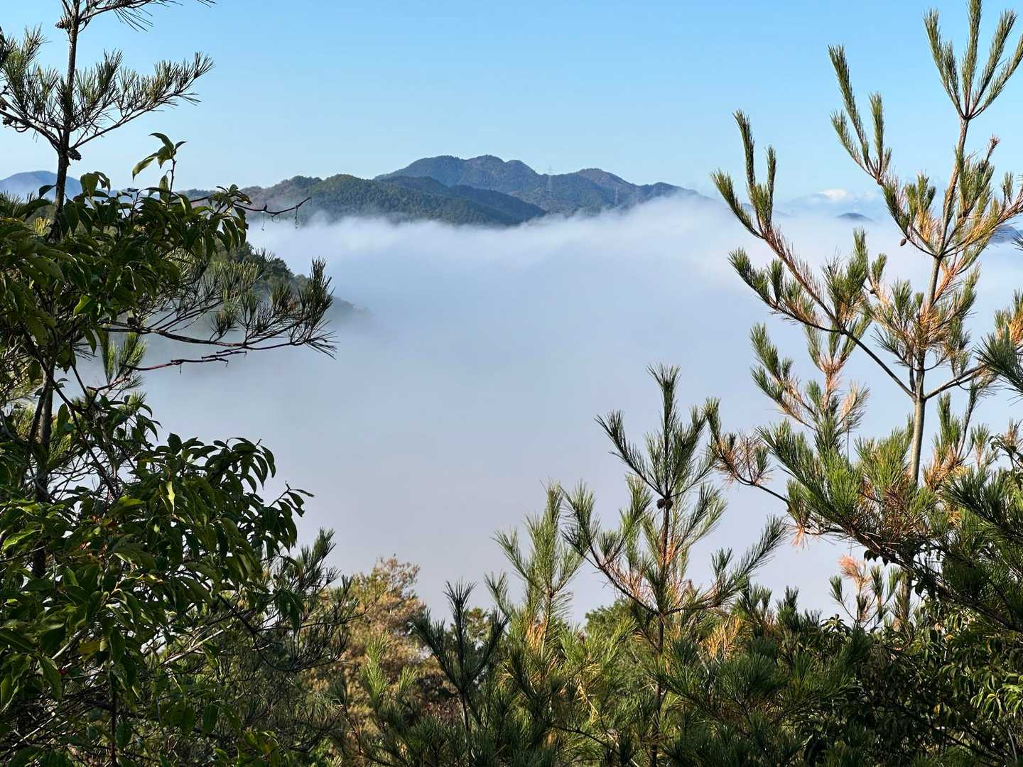 高城山登山道入口-高城山 往復コースの写真