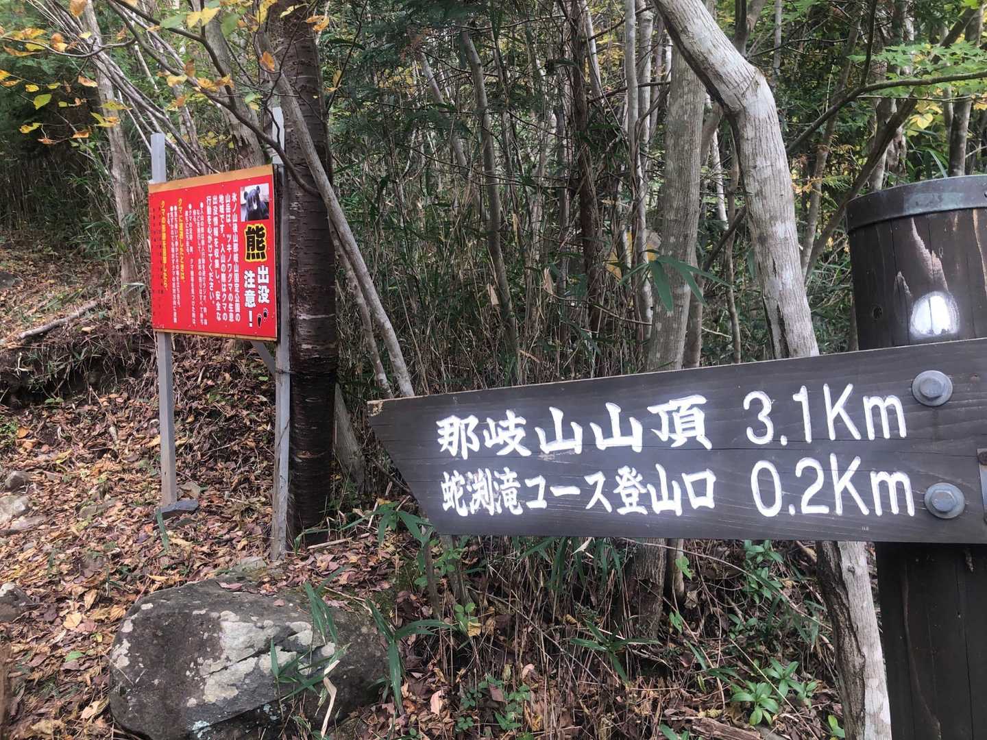 分岐までぼちぼちと身体を慣らす