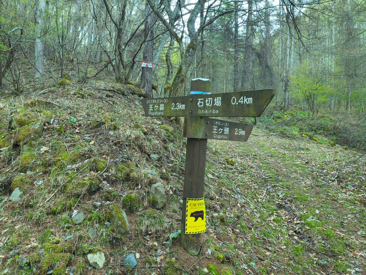 桜清水キャンプ場から石切場登山口
🐻注意にビビる