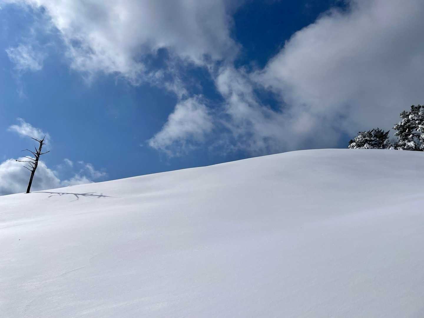 未踏の雪キレイ✨