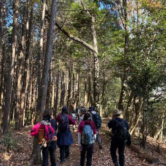 総勢12名の賑やかなハイキング