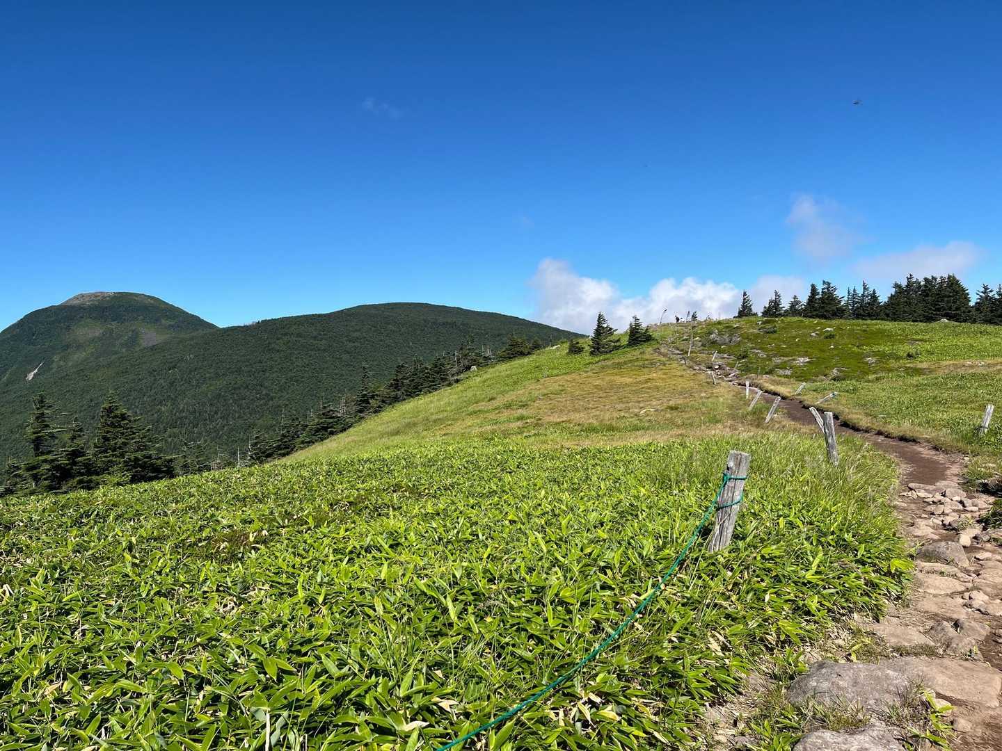 大河原峠-双子山 周回コースの写真