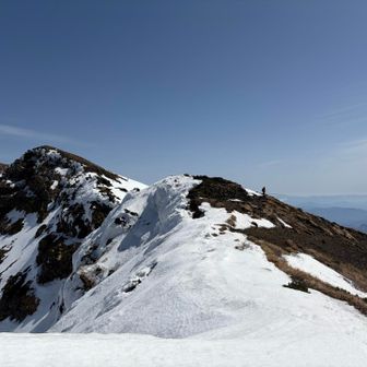 三人三様のペース
あんなに小さく見える😽