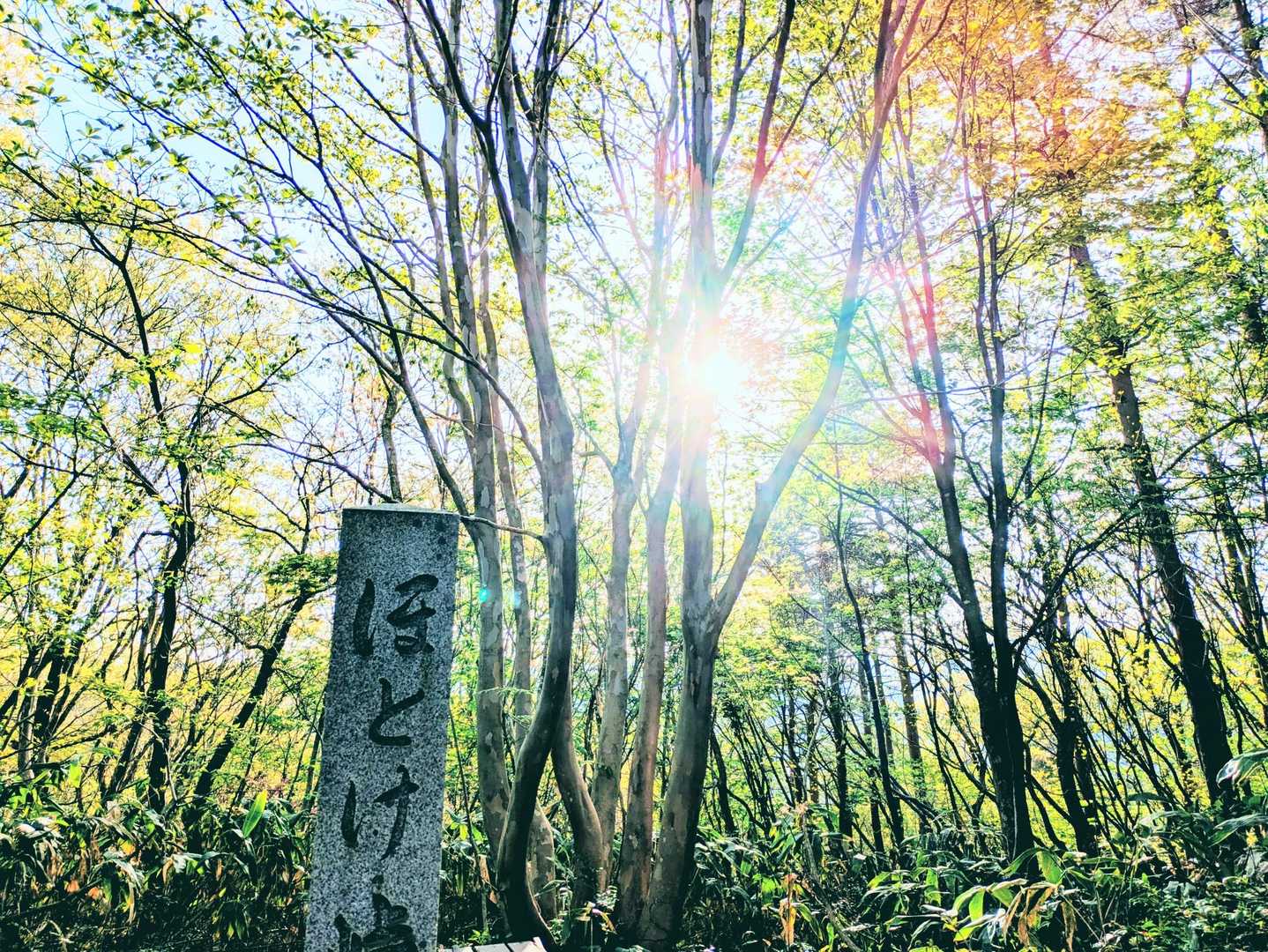 ほとけ峠478m
