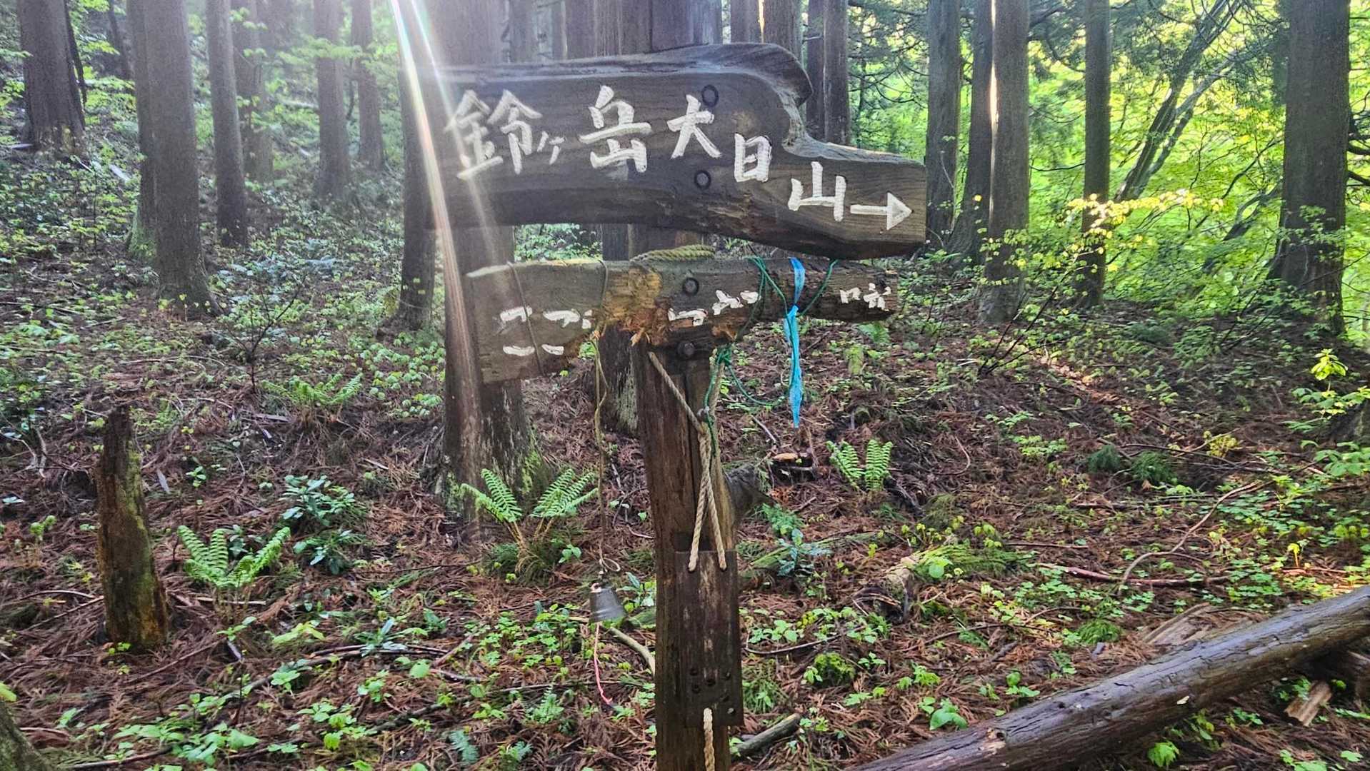 標識も整備されてます💦