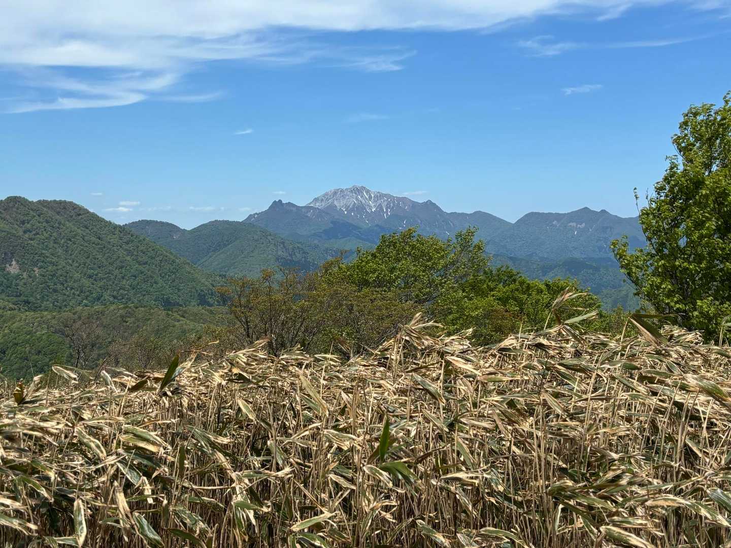 下蒜山頂上から
大山！こんにちは！
6月の山開き祭に行きます！