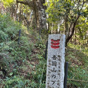 吾国山のブナ林