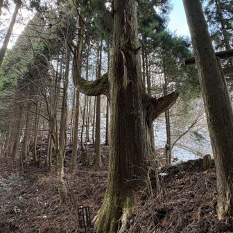 天狗の腰掛け。不思議な形だね
