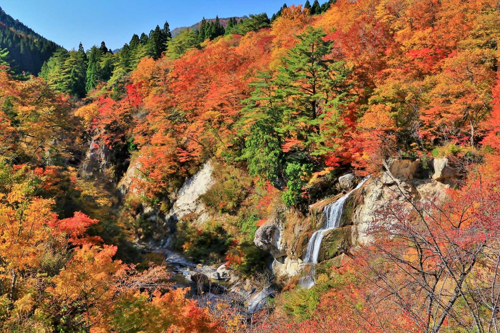 面白山の写真