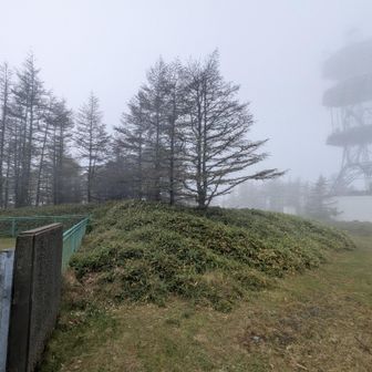 地理院地図に山名記載された方の頂上の最高地点はアンテナ前のこの笹薮のようです。