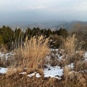 雪は少しだけです。