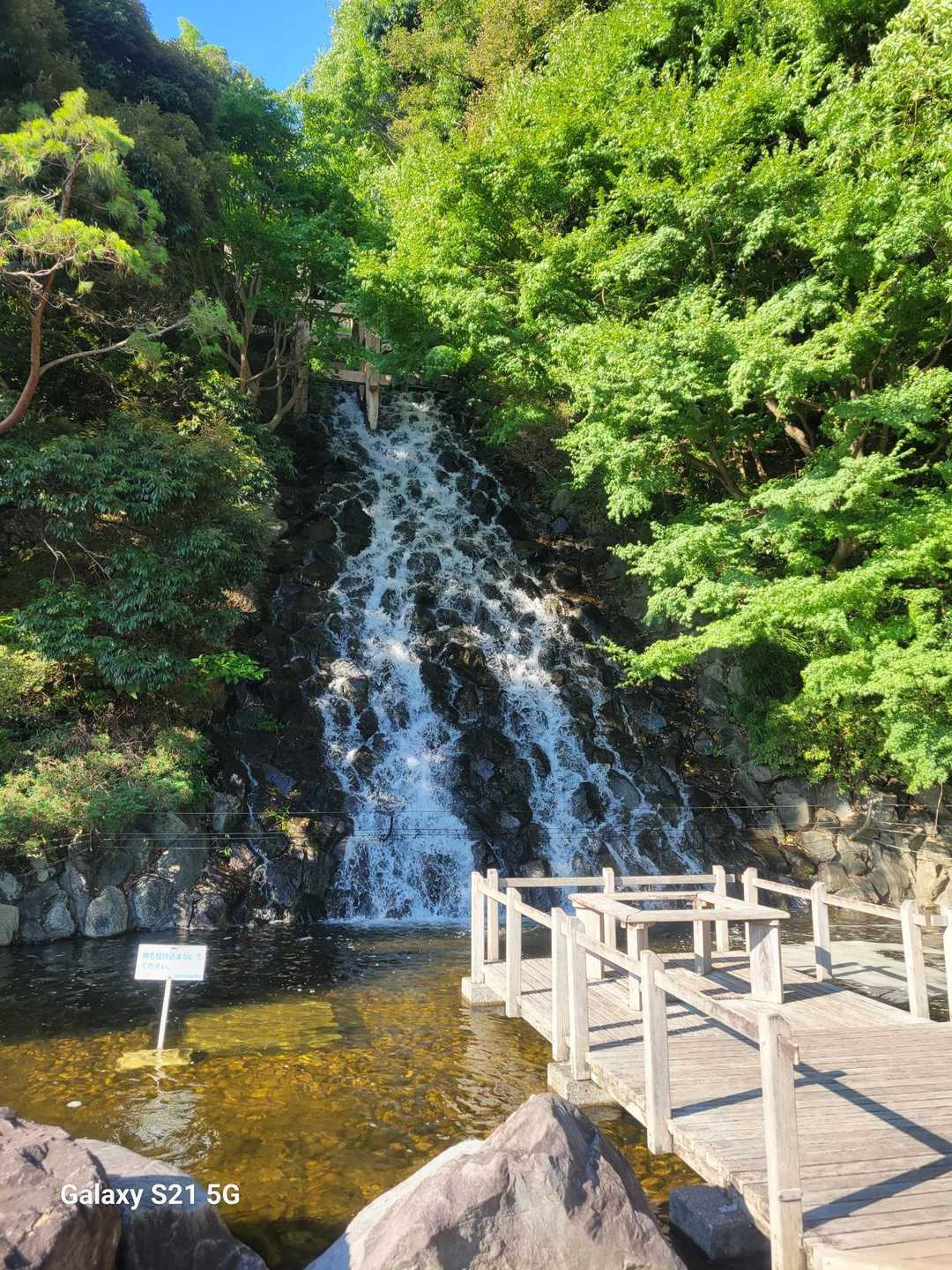 清水公園の滝。滝の音聞くだけて涼しさ感じます