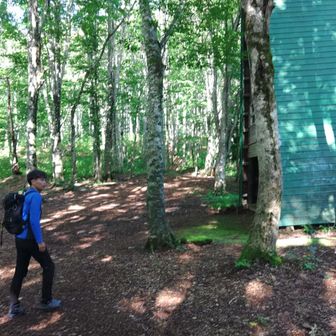 まあ、いろいろあって山に行ってなかったこしき。
あっ、小屋発見こしき