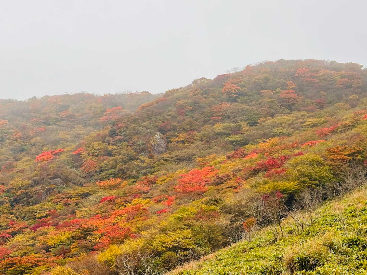 沓掛山オレンジ🧡