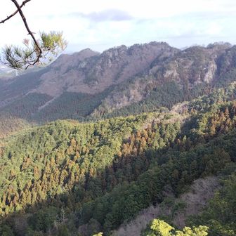 あちらの山と繋げて歩く事も出来るそうです