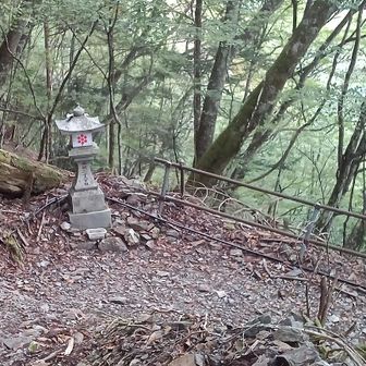 ところどころに立っている「灯篭」が「敬慎院までの現在地」を教えてくれます。