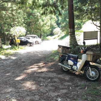 一速でブイブイ言わせ🛵なんとか登山口まで到着😅スタート