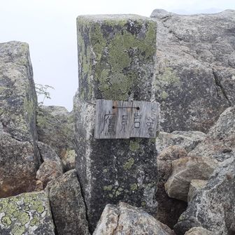 鷹見岩山頂です。
霧で景色は…残念でした。