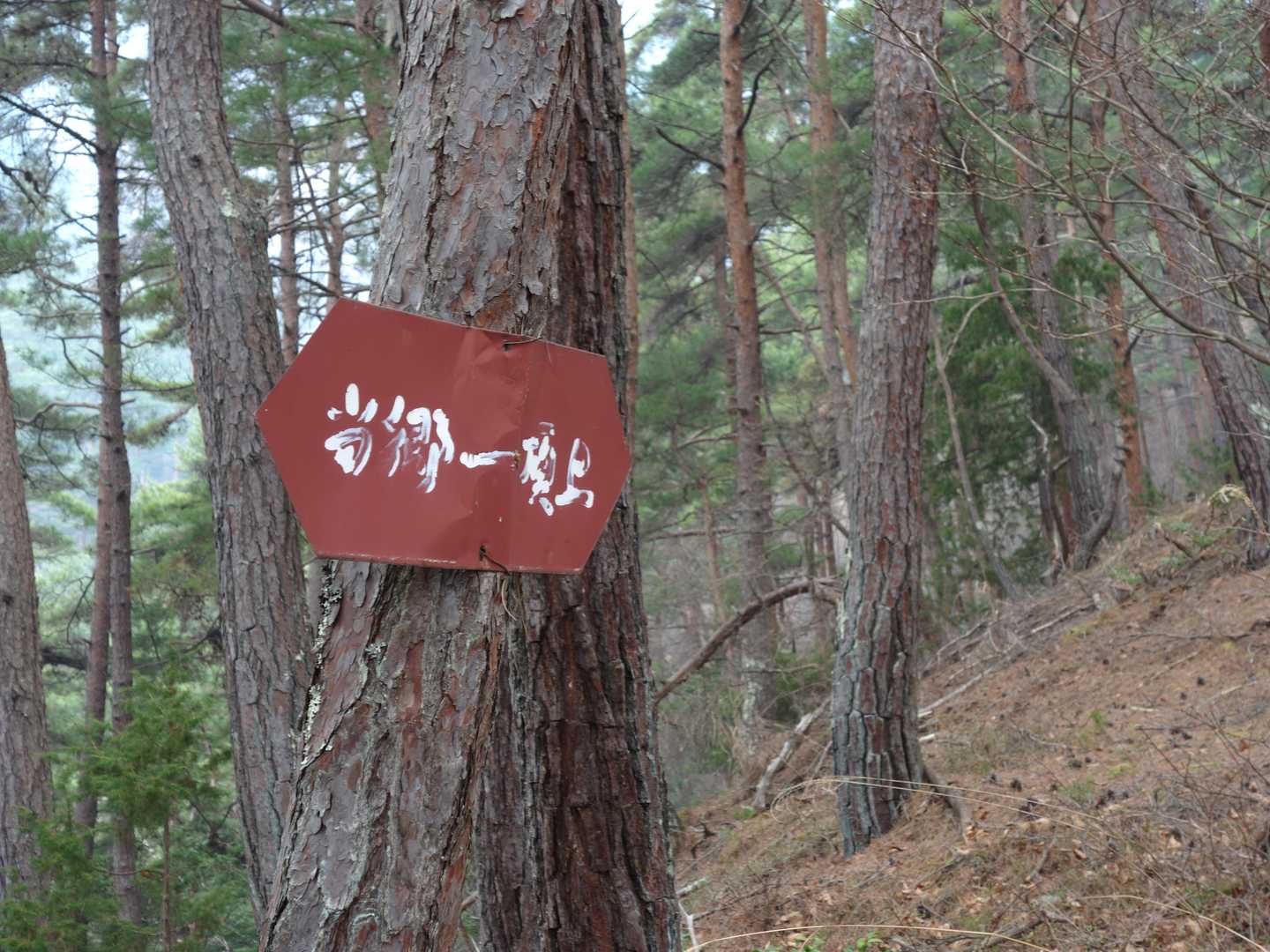 東大一直線？
あっ、当郷−頂上って書いてあるのか😅
何とも言えないかすれた書体で、これも難読看板だった。