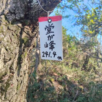 下山します👋

下山道は鉄塔の管理道で分かりやすいけど、かなり急降下でした😖