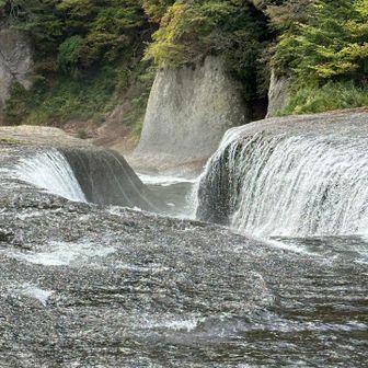 縦　どうかなぁ