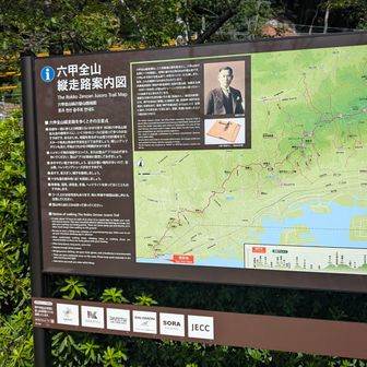 ここから