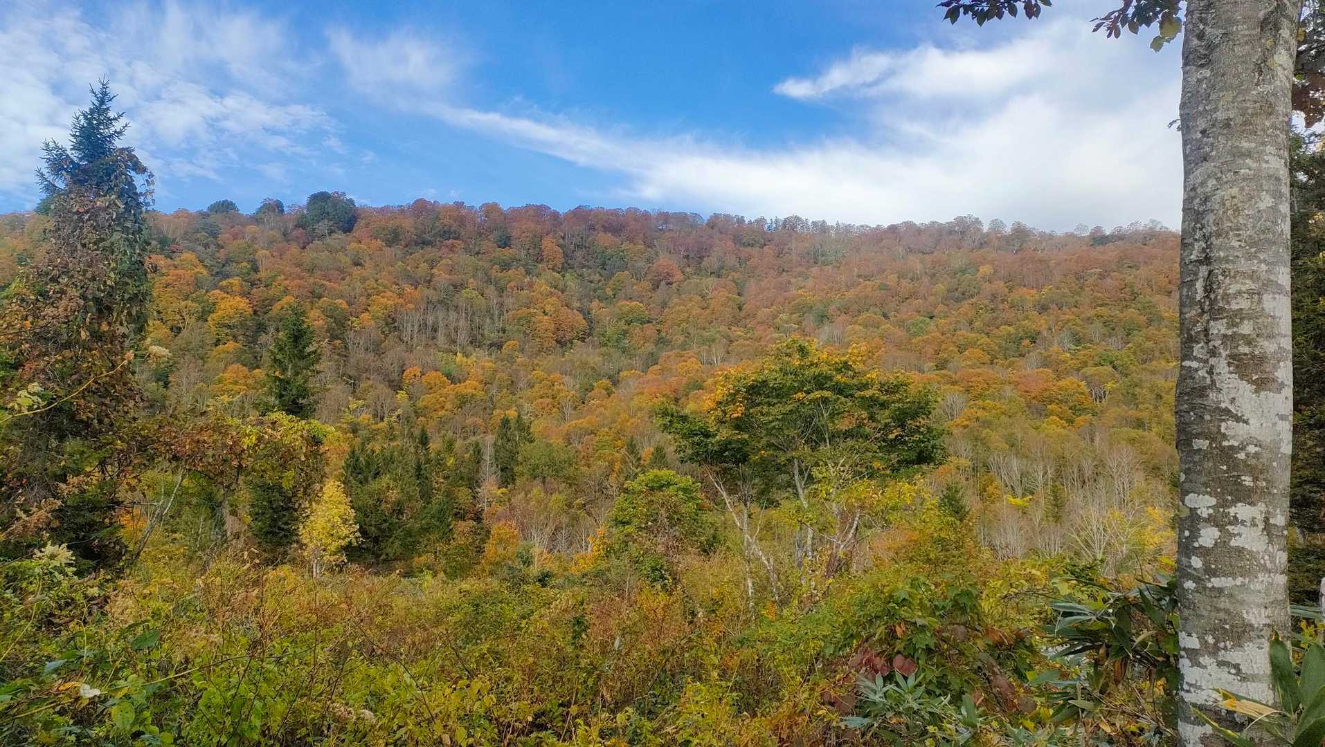 北野口登山口-風吹岳 往復コースの写真