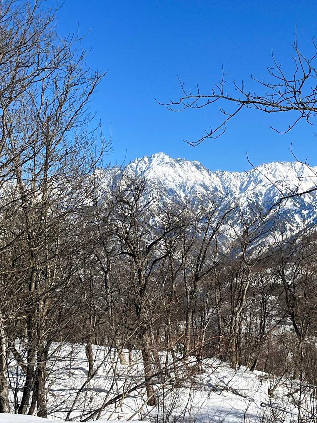 笠尻山でコーヒータイム☕️ / iwanoriさんの千石城山の活動データ