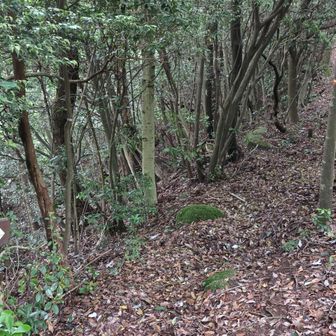 少し戻り水越峠コースへ🚶
サングラス装着でどんよりと暗く、とても不安です。