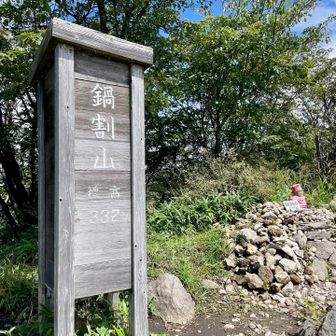 こちらも📸