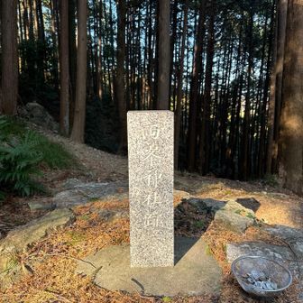 両峯神社跡、神社はこうやって失われたのか。

この広場意外と開けていていい感じだった。整備とかできたらここにベンチあるといいな